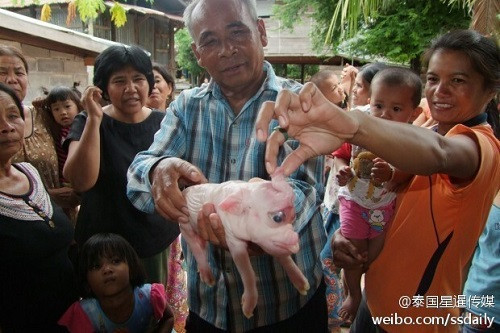 ̩һ��������ֳ������������г�����ز�ۣ�ͼ��