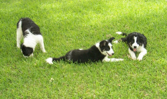 ����Ҳ�������������Ŭ�����Ի�ù�ע��ͼ��