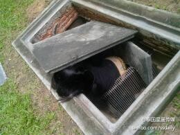 一中国女生泰国高校跳楼身亡疑因学业压力自杀