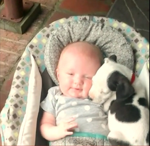 汪星人与小婴儿相亲相爱模样温馨又可爱(图)