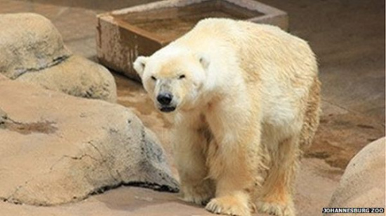 ����Ψһ������ȥ���������ο�ϲ�����й�����