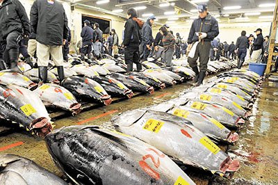 日本拟建赌场促经济美国博彩集团有浓厚兴趣