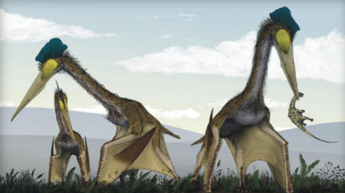 研究称“无牙翼龙”或在白垩纪晚期统治地球