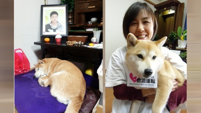 �ձ������������������Ĳ�Ȯ��ǰ�غ���꣨ͼ��