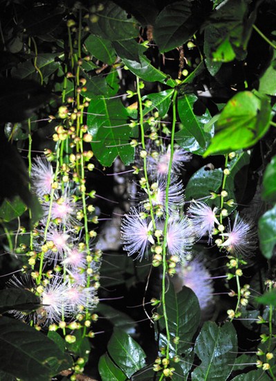 �������¹������ҹһҹ����ɢ��������ζ��ͼ��