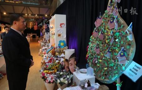 MH17��������������������������ȼ��DNA��ͼ��