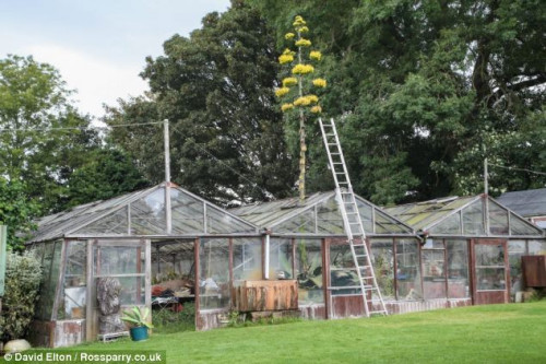 60�ꡰ���䡱�����ƴ����ݶ��ڴ嶼�ܿ�����ͼ��