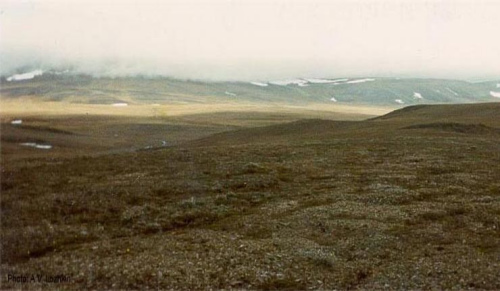 ��̫ƽ�󽢶��ڱ������׸�פ�������𺣾�����