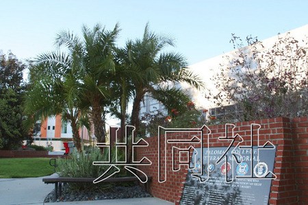 8名日本留学生在美加州发生车祸3人死5人伤