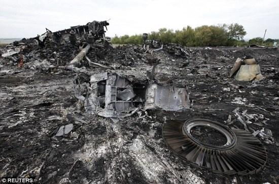 MH17�Ĵ��������������彫�ع�������ŵ��������