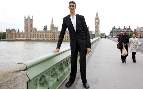 “高处”不胜寒:揭秘世界高人们的真实生活(图)(3)