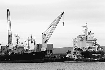 拉美国家投巨资加快南极科考开发保护两不误