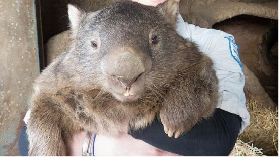 �����ϴ���ϵ�����С���ż�ܾ���һҹ�顱