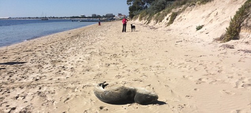 ����ƵƵ������̲�ĵ�������������������ҧ