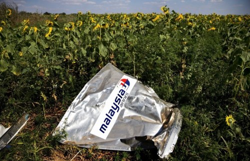 �������ϯ����ͣս��MH17׹�ٵ���Ӧ����͸��