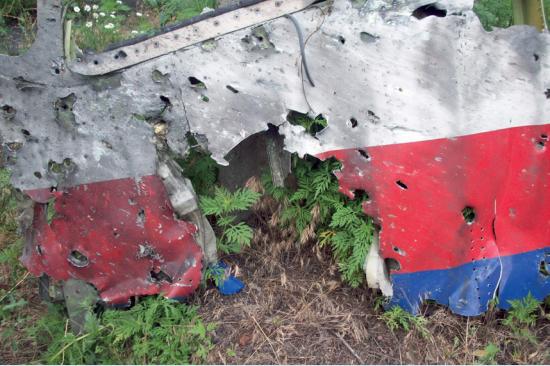 调查称MH17未现技术故障高能物体从外部击穿飞机