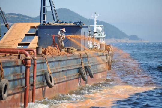 韩国南部海域赤潮扩散致80余万条养殖鱼死亡