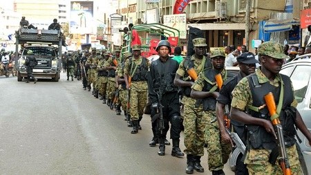 �ڸɴﾯ���ƻ����ƿֲ�Ϯ����ı����׶�����