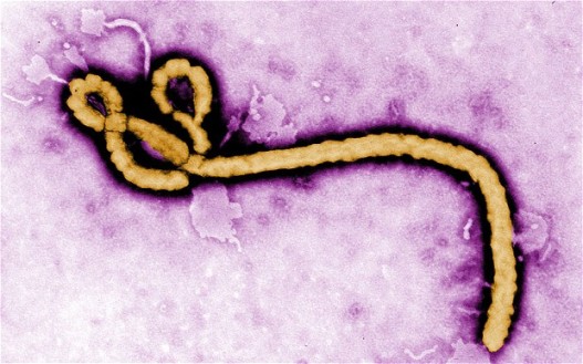 几内亚埃博拉疫情工作组遭村民袭击8人丧生