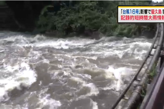 16号台风逼近日本带来强降雨果农抢收苹果(图)