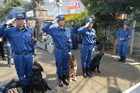 �������о�Ȯο��������ƴ�Ϊ���๤���Ĺ�