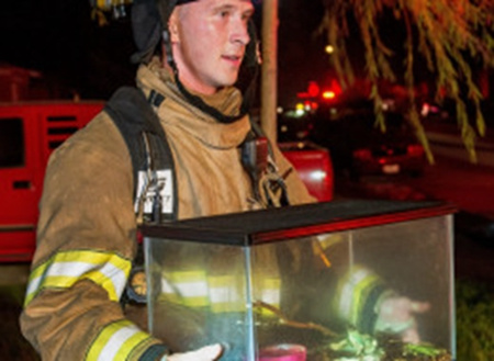 美国消防员火海救出屋主宠物青蛙号称是头一回