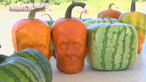 ����ũ���ջ������Ϲϡ����ơ���ѧ���ˡ�