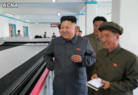 韩媒:朝鲜外务相向潘基文转交金正恩亲笔信