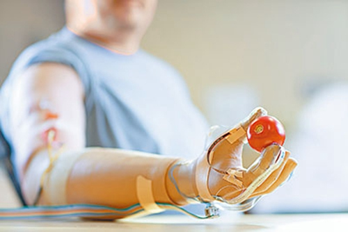 ��ѧ�ҷ������ͼ�֫�����Դ�������������ͼ��