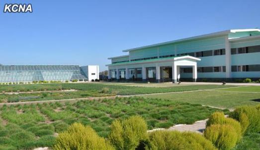 ���ʸ����½���Ƥ�о����Ը�����̬������ͼ��