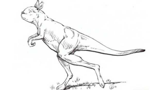 �������ʹ������س���ʨ����˫�������Ծ��ͼ��