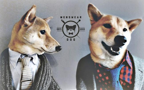 ����4���Ȯ�ɡ���װ��ģ�ء����Է�װƷ�ƣ�ͼ��