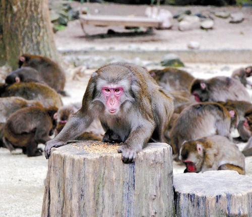 �ձ�һĸ�ﲩȡ�������Ρ���λ����ָѧ��������