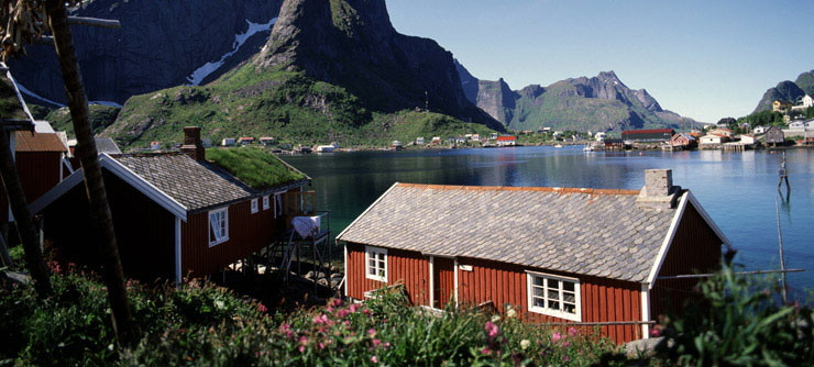 ��ý�̵�ȫ��ʮ���˾ӹ���Ų���߾Ӱ��ף�ͼ��