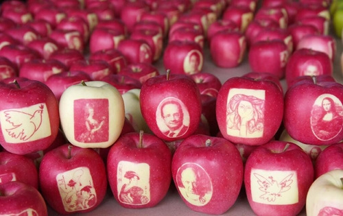 �ձ�����ͼƻ���������򰲱�Ф������㣨ͼ��