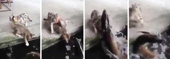 ��ʵ����溦��è��è��ӱ߿��㷴�����Ͻ�ˮ