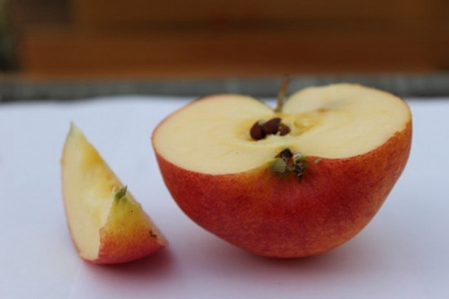 ��ʿ��ѧ�����Ƴ�̼��ڸ�ƻ���ƿ�ζ���ѣ�ͼ��