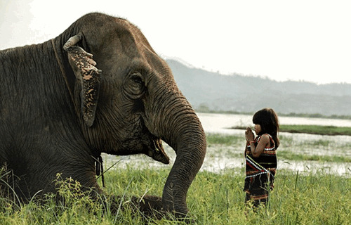 Խ��6��Ů��ѱ������������������꣨ͼ��