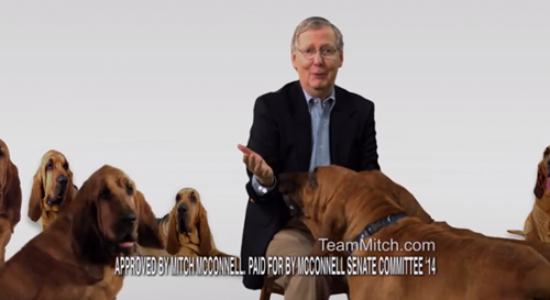 参院选情激烈两党出招:希拉里助威对阵温情攻势