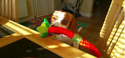 ����������ߡ���������ͱ��������ޡ��ɰ���