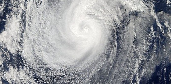 ̨�罫ϯ����������˹������ȫ������ǰ�붬