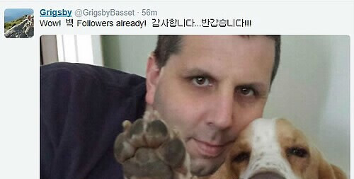 美国驻韩大使为爱犬开设专用社交账号语言幽默