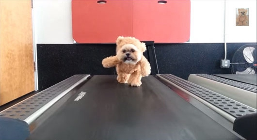 ������С�������ܲ����ϡ��˶����ȷ����ѣ�ͼ��