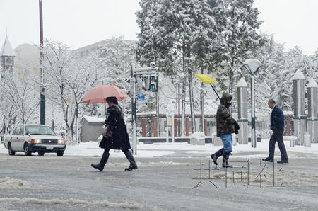 日本北部地区或遭遇暴风雪JR快速列车被困山中
