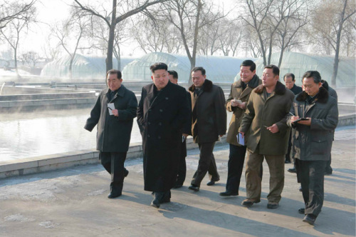 金正恩视察平壤鲇鱼厂鼓励职工做养殖先锋(图)