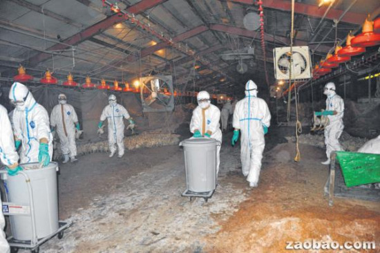 �ձ���������ɱ��4��ֻ�⼦�Է������в�����ɢ