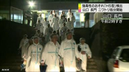 �ձ�ɽ��������������������3.7��ֻ������ɱ