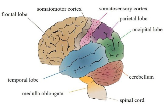 �о����������ֻ���ı����������״��ͼ��