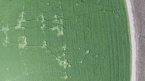 ī����ƽ��ҹ�������Ȧ��Ϊ�����ˡ���Ʒ��