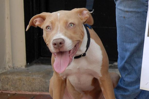 ����ʥ�����Ͱ�Ȯ�����������ݡ���ҧ��������